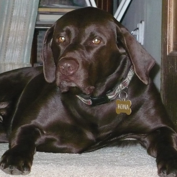 Meet your Posher, Valerie - Picture 1 of 1